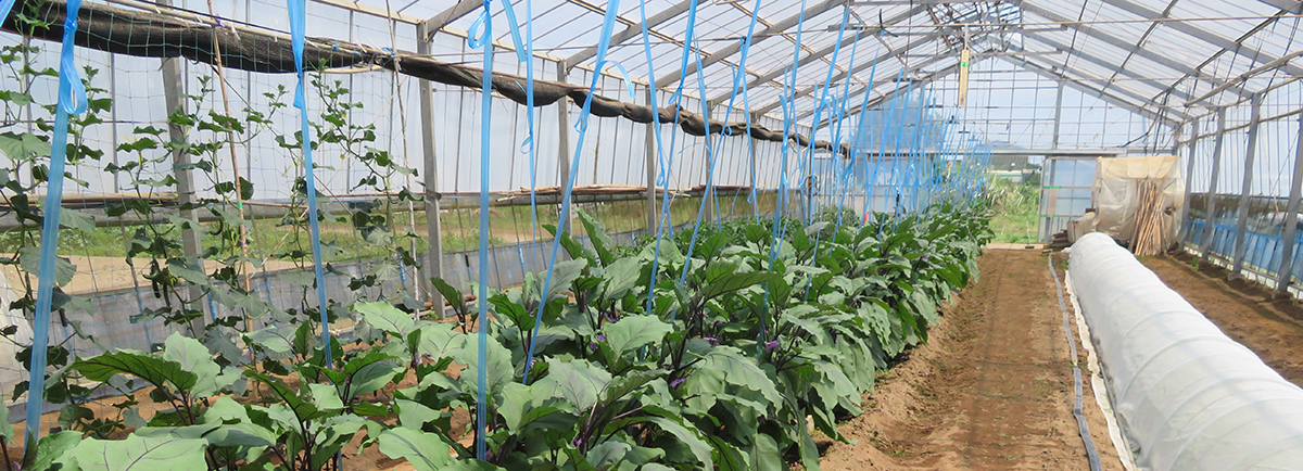 野栄福祉会プライバシーポリシー